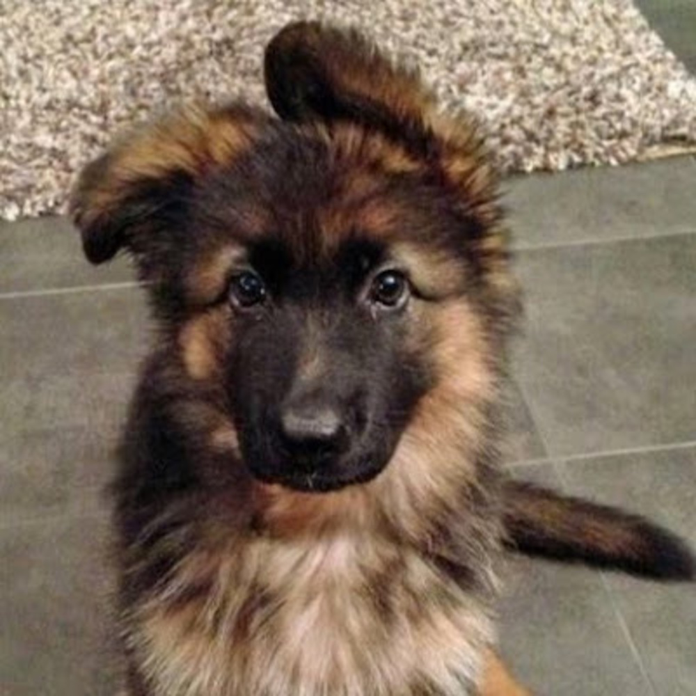 Meet your Posher, Sky